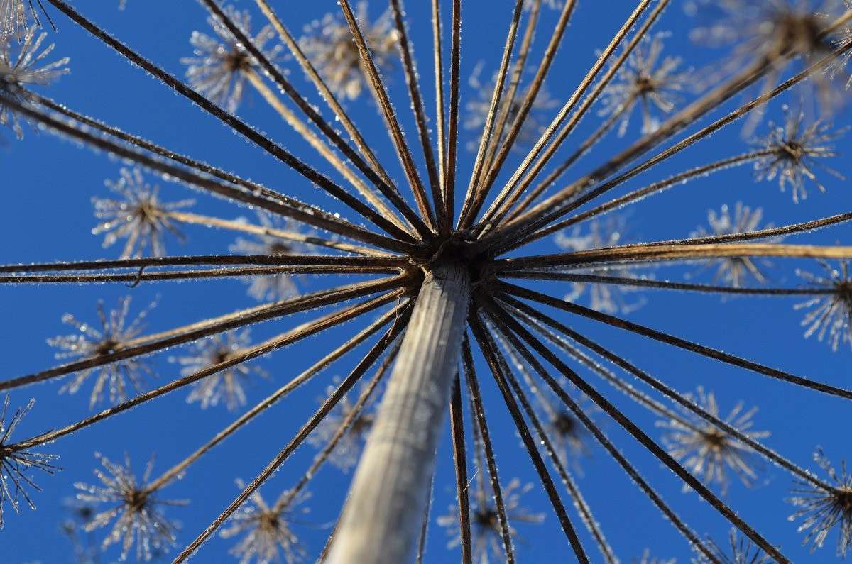 ������� ������ ����� ����  �� PhotoGeek.ru #�����