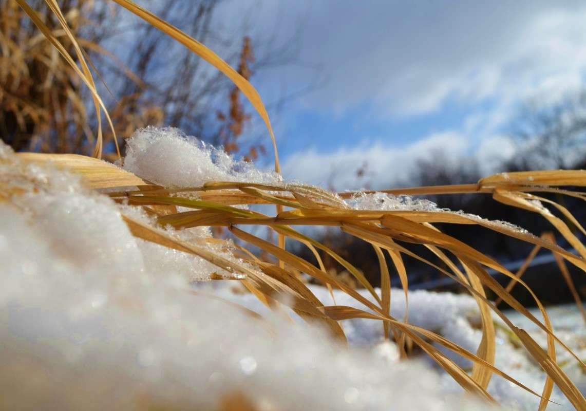 �������� ����� ����  �� PhotoGeek.ru #�����