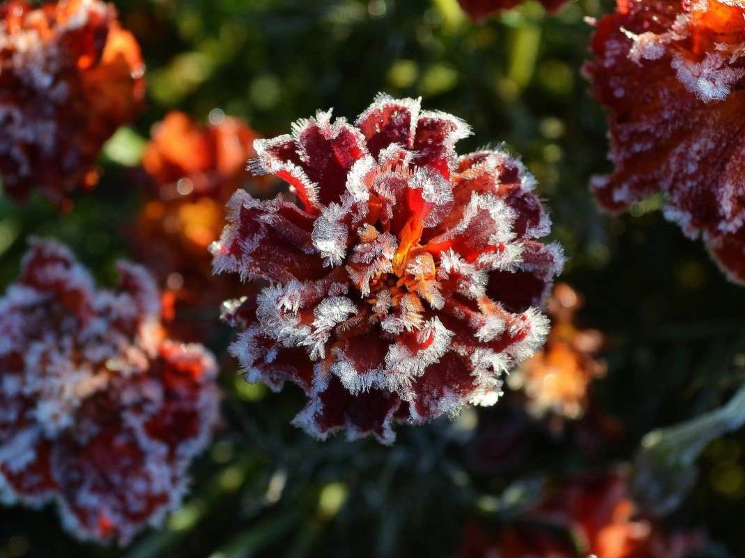 �������� ���� ����� ����  �� PhotoGeek.ru #�����