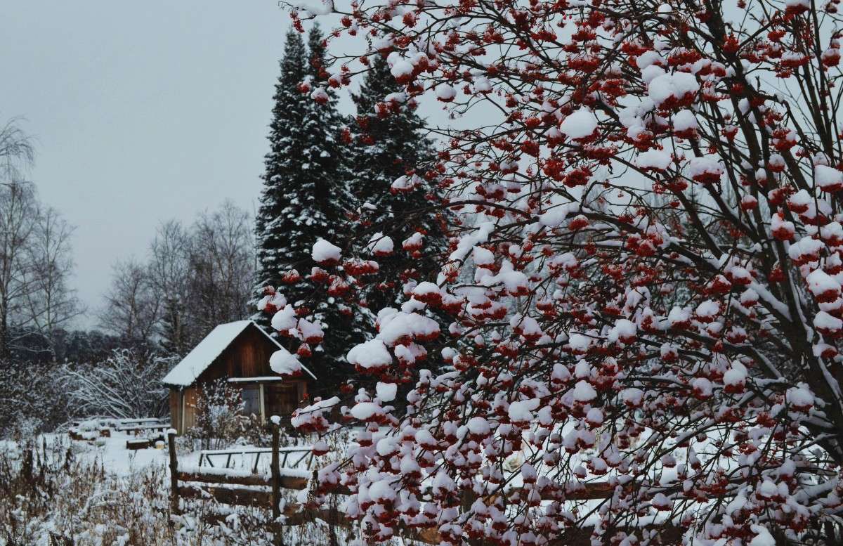 ������� ����� ����� ����  �� PhotoGeek.ru #������ ��� �������