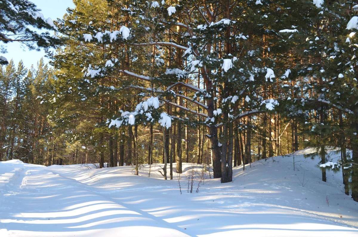 �������� ��� ����� ����  �� PhotoGeek.ru #������ ��� �������