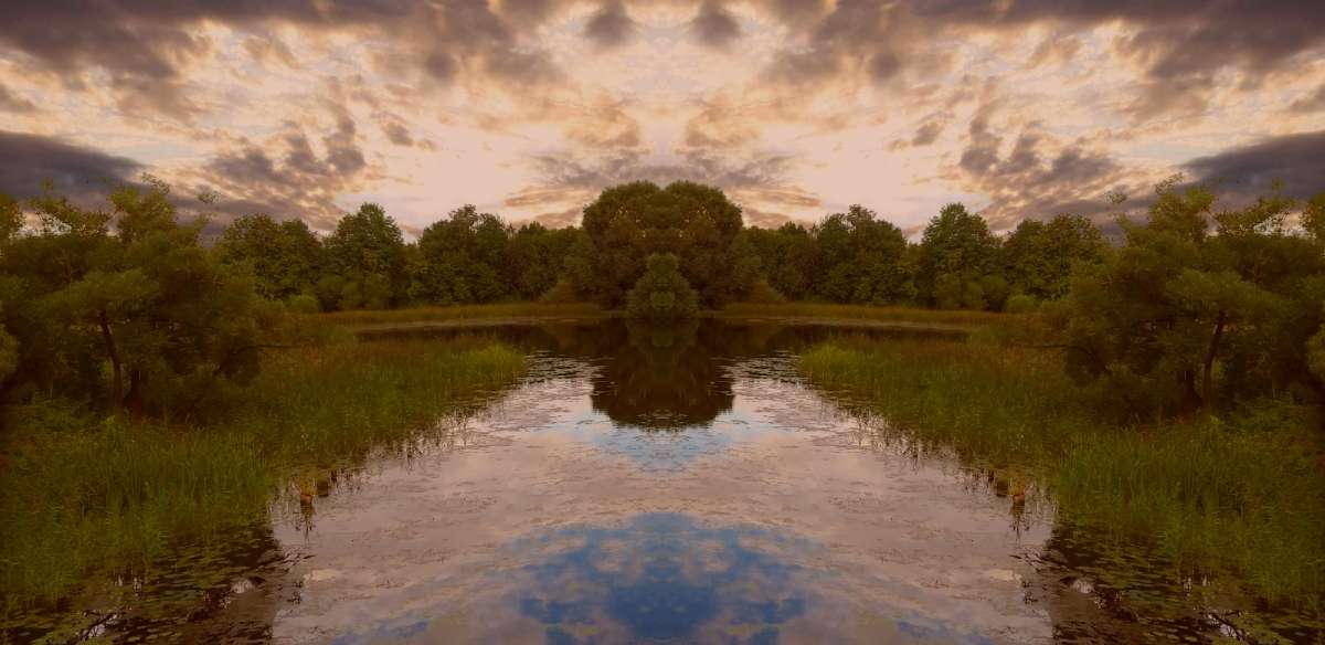 ОТРАЖЕНИЕ  ОСЕНИ автор Валентина Янушонок на PhotoGeek.ru #Пейзаж или природа #Жанровая фотография #Вода #Живая растительность #Кустарники #Небо #Облака #Осень #Природа