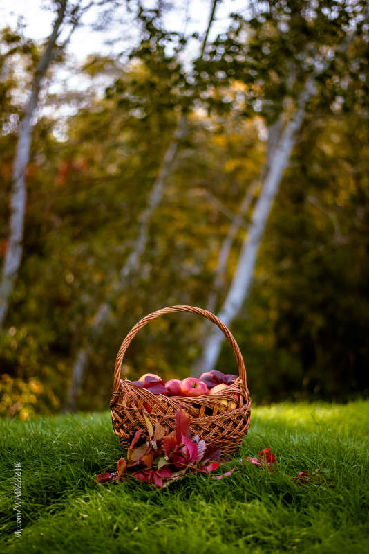 ... ����� �����  �� PhotoGeek.ru #������ ��� �������