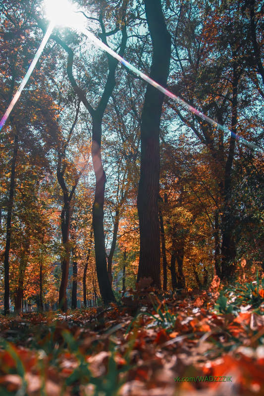 ... ����� �����  �� PhotoGeek.ru #������ ��� �������