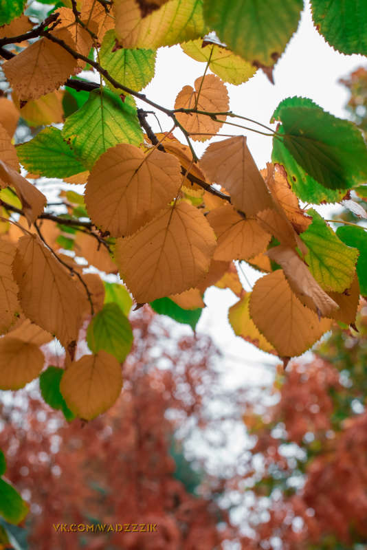 ... ����� �����  �� PhotoGeek.ru #������ ��� �������