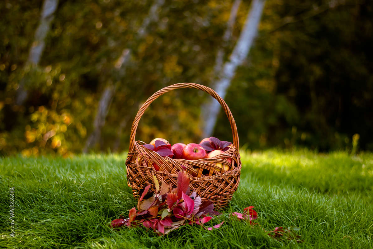 ... ����� �����  �� PhotoGeek.ru #������ ��� �������