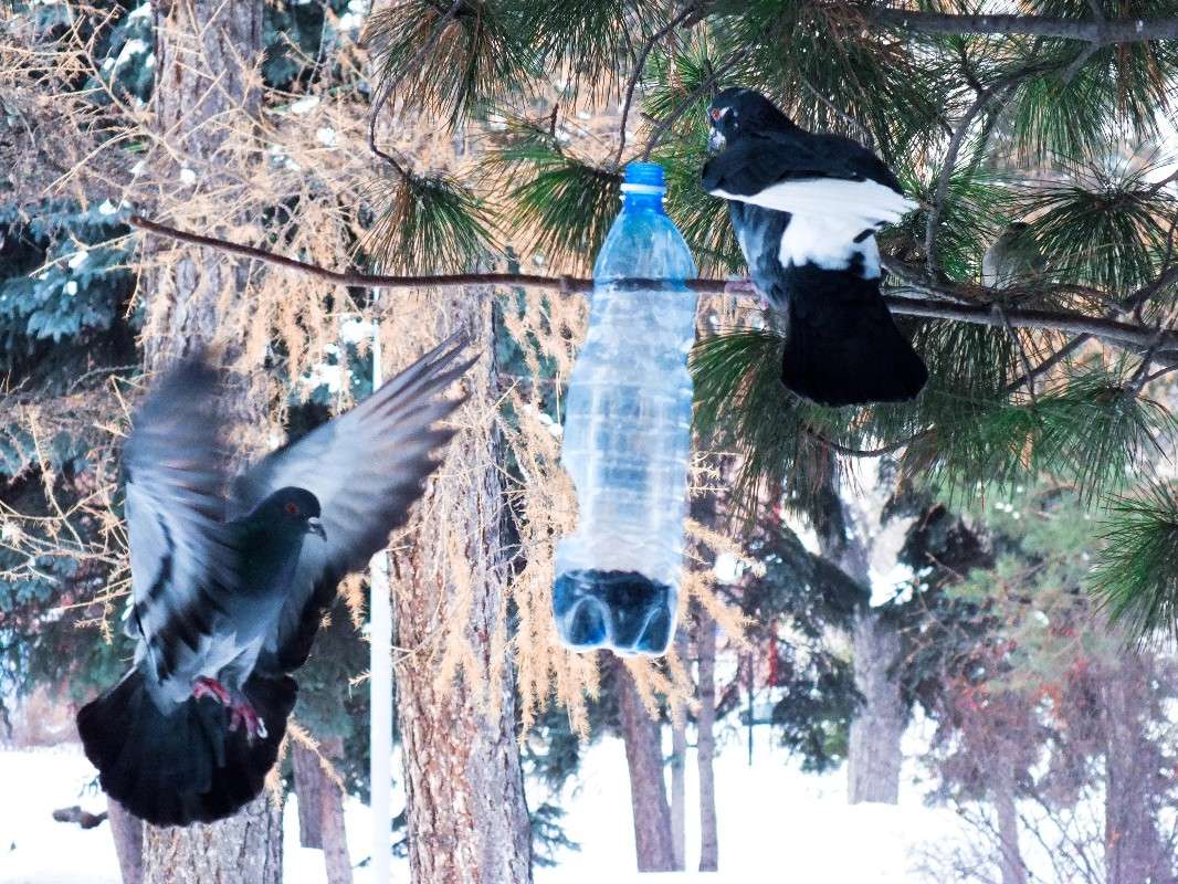 ... ����� Volt  �� PhotoGeek.ru #�������� ���