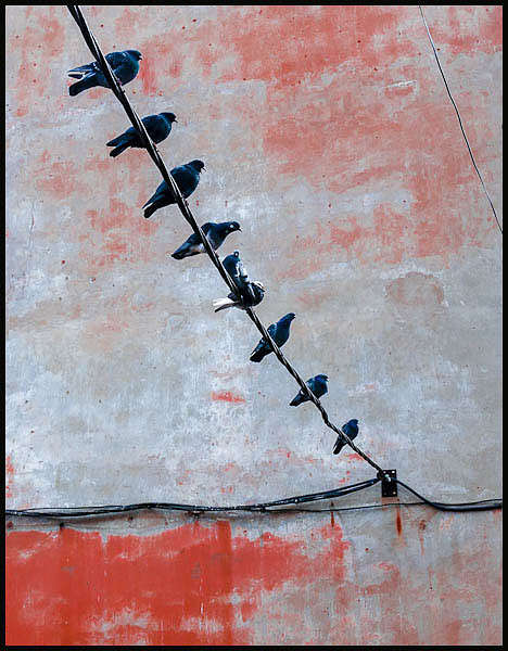 ... ����� WladZh  �� PhotoGeek.ru #�������� ���������� #���������������