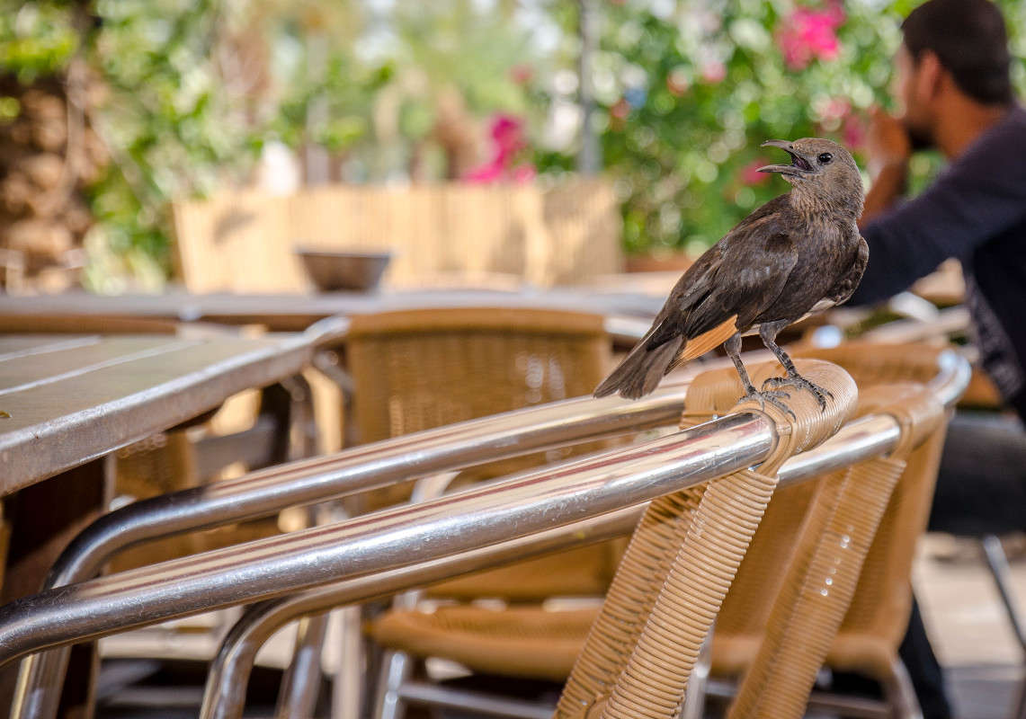 ... ����� WladZh  �� PhotoGeek.ru #�������� ���