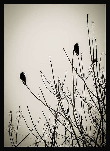 ... ����� WladZh  �� PhotoGeek.ru #������ ��� ������� #�����-�����