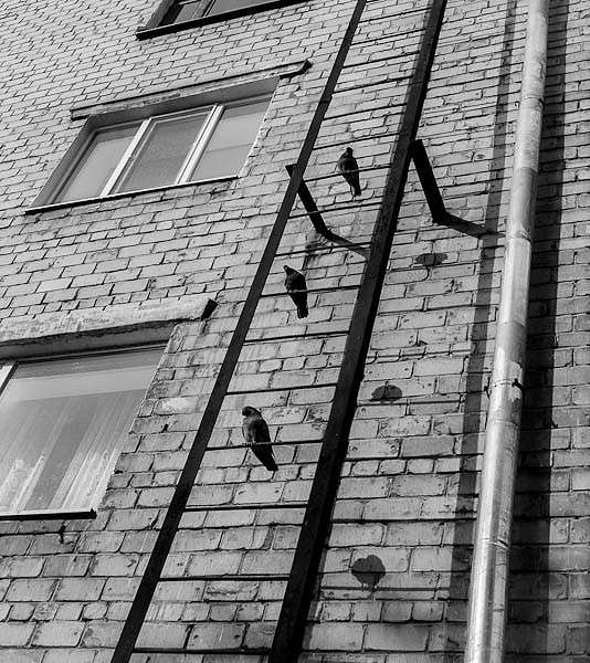 3/3 ����� WladZh  �� PhotoGeek.ru #�������� ����������