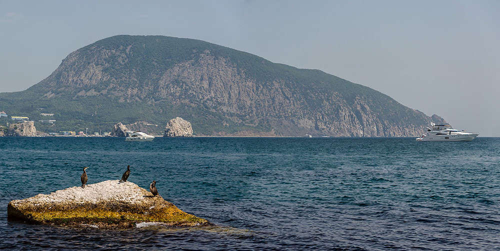 ... ����� WladZh  �� PhotoGeek.ru #������ ��� �������