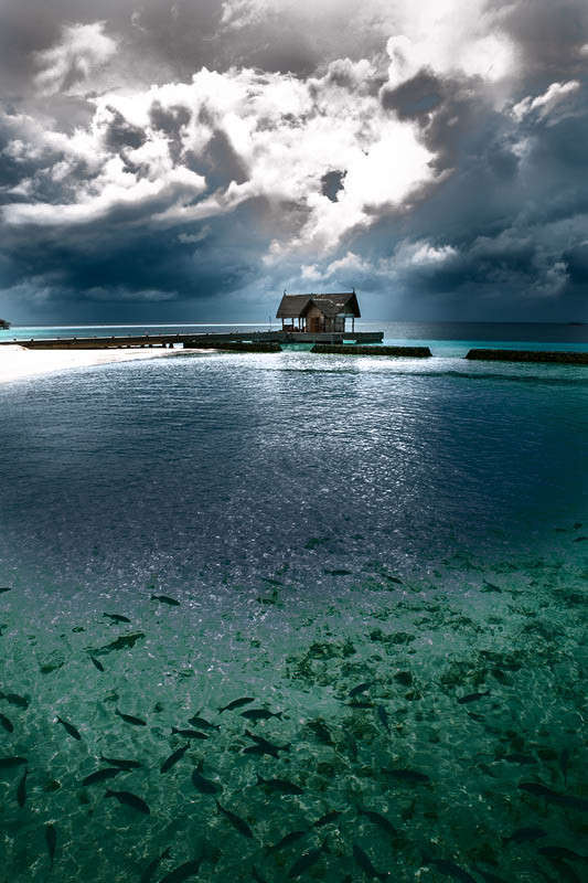 Maldives ����� ������� ��������� �� PhotoGeek.ru #��������� ���������� #�������� ��� #������ ��� �������