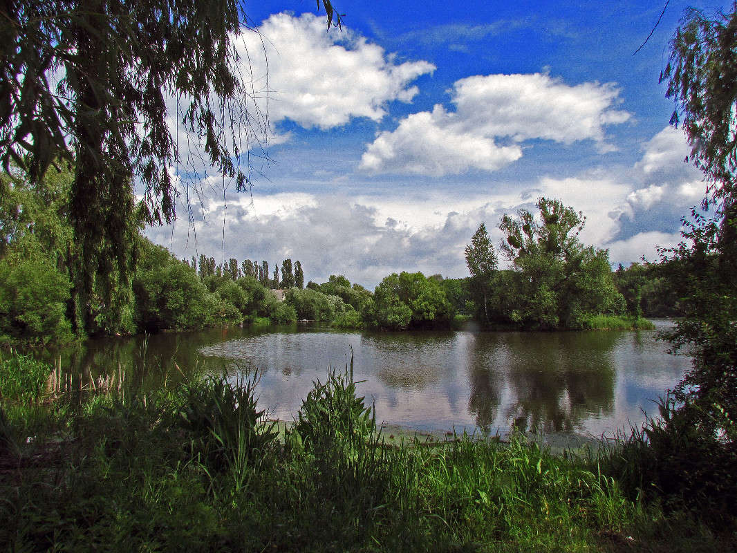 ���� ����� ���� ������ �� PhotoGeek.ru #������ ��� ������� #������ #�������