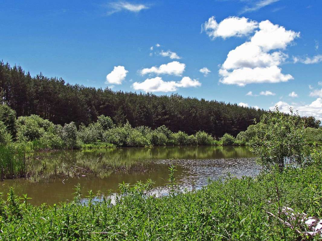 � ����� ����� ���� ������ �� PhotoGeek.ru #������ ��� ������� #������