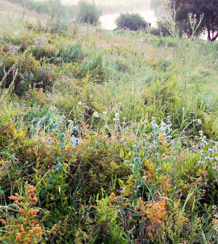 ��������� ��������� ����� ���� ������ �� PhotoGeek.ru #������ ��� ������� #������ #�������