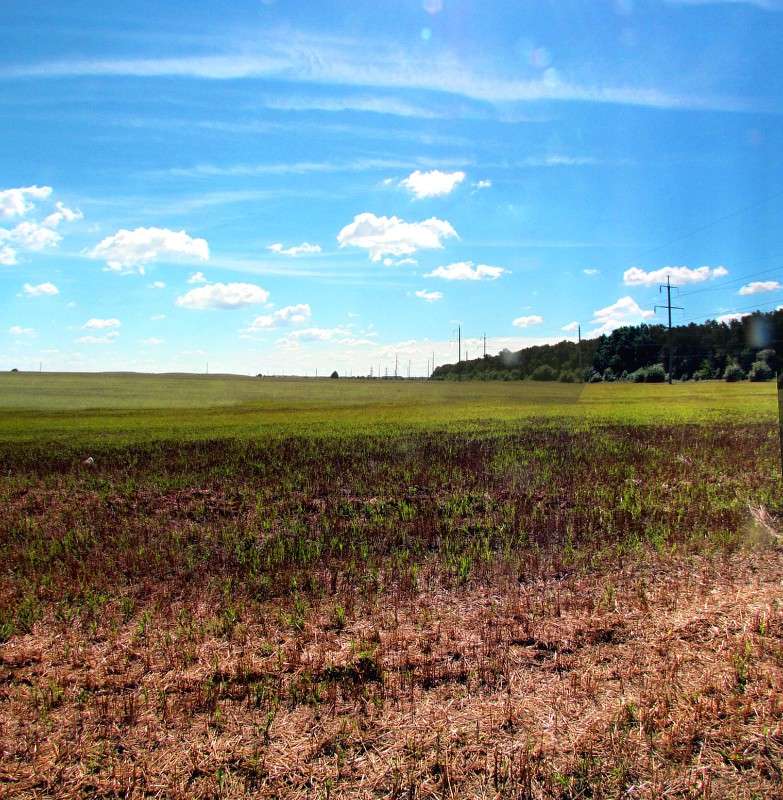 ���� ����� ���� ������ �� PhotoGeek.ru #������ ��� ������� #������