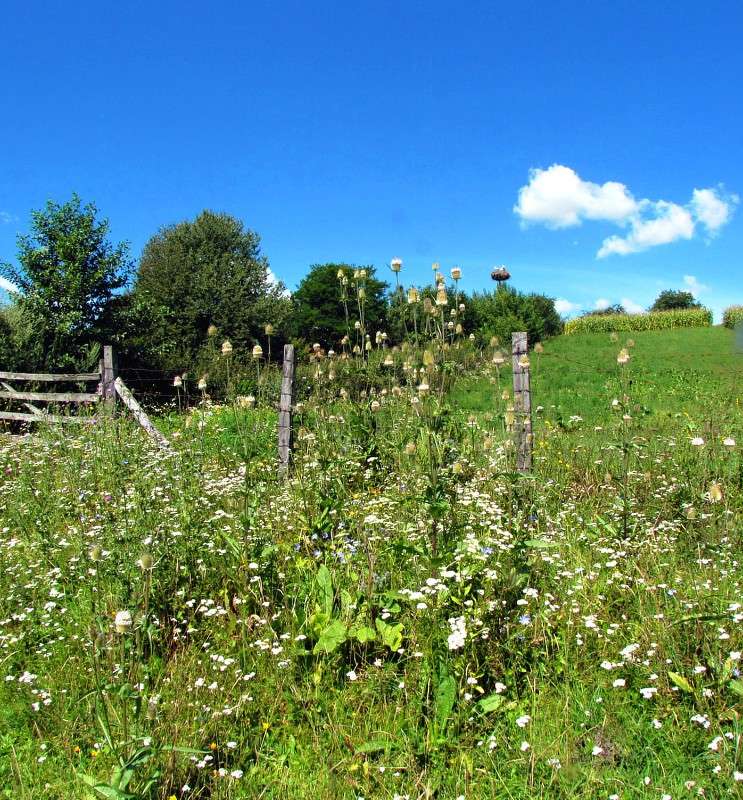 ���� ����� ���� ������ �� PhotoGeek.ru #������ ��� �������