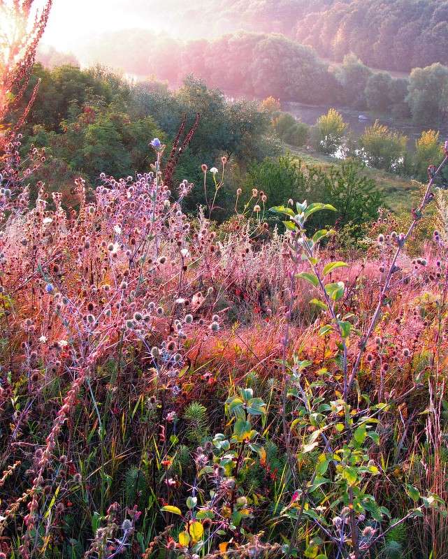 ������� ����� ���� ������ �� PhotoGeek.ru #������ ��� �������