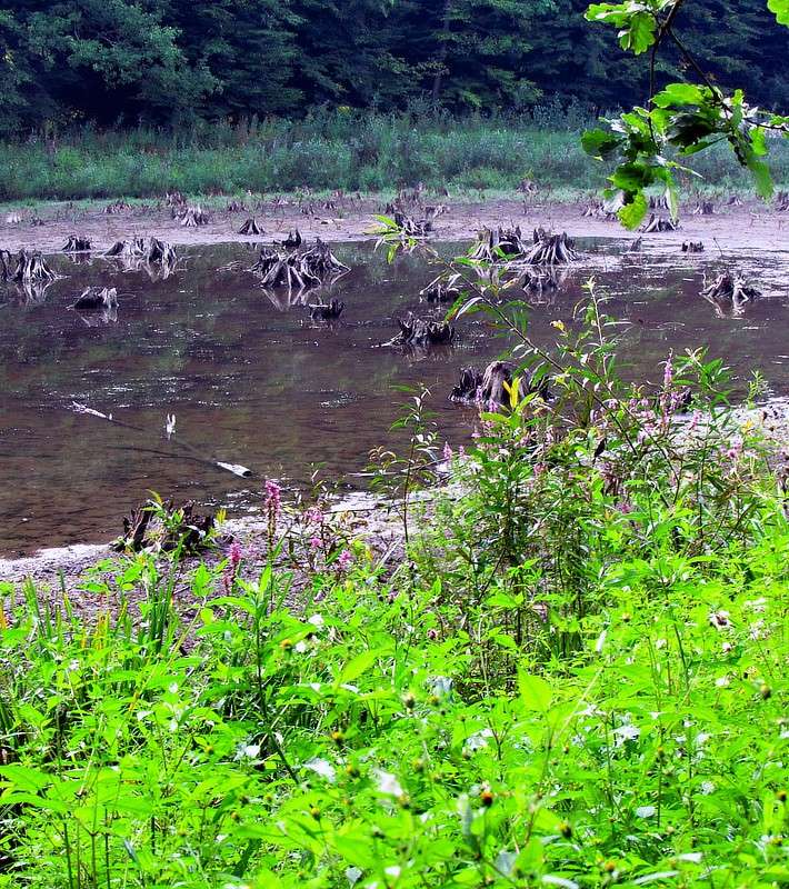 ��������� ����� ����� ���� ������ �� PhotoGeek.ru #������ ��� �������