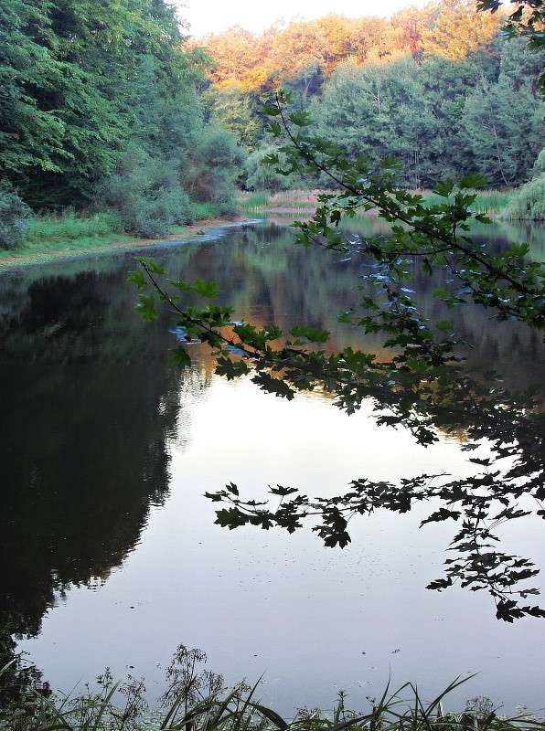 ������� ����� ���� ������ �� PhotoGeek.ru #������ ��� ������� #������