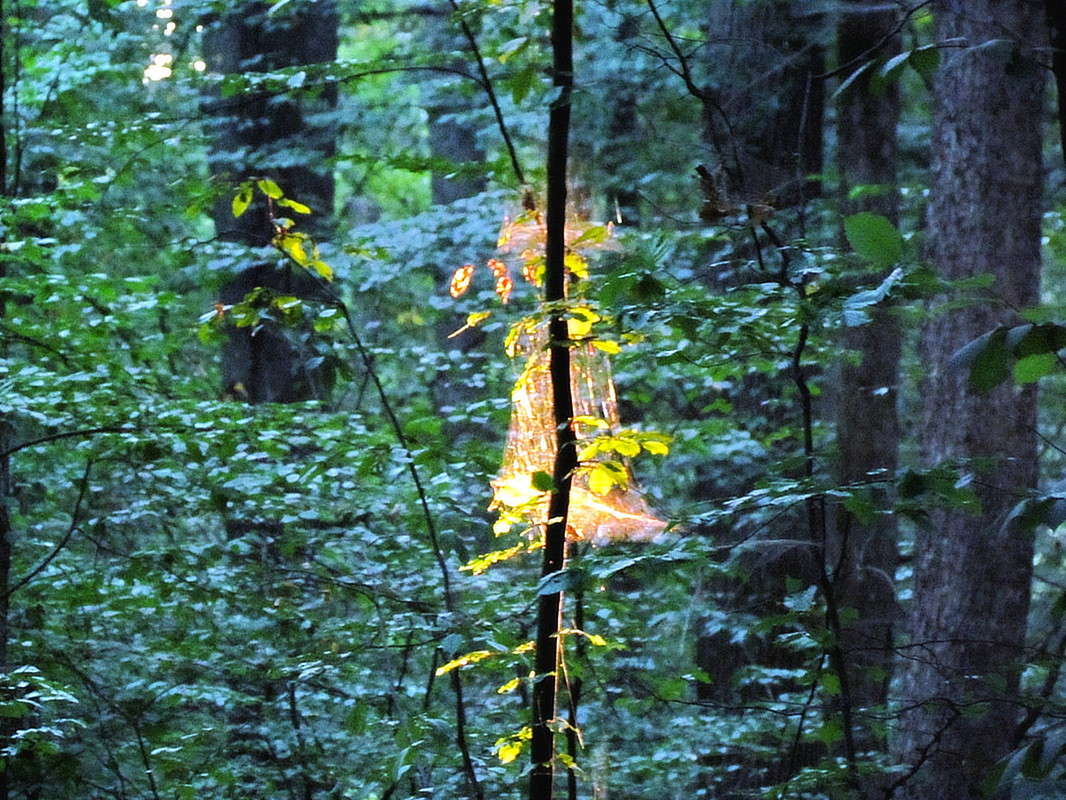 ��� ����� � ������ ������� ����� ���� ������ �� PhotoGeek.ru #������ ��� �������