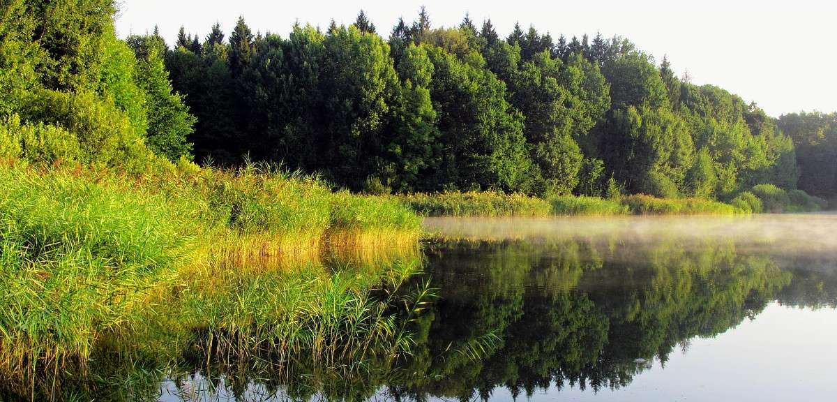 ���� ����� ���� ������ �� PhotoGeek.ru #������ ��� �������