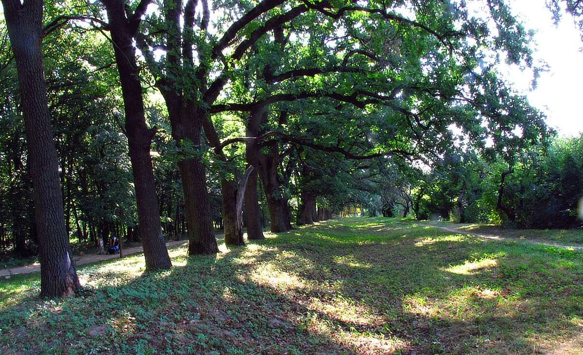 ������� ����� ����� ���� ������ �� PhotoGeek.ru #������ ��� ������� #������