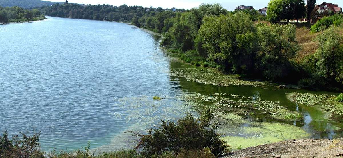 �������� ����� ���� ������ �� PhotoGeek.ru #������ ��� �������