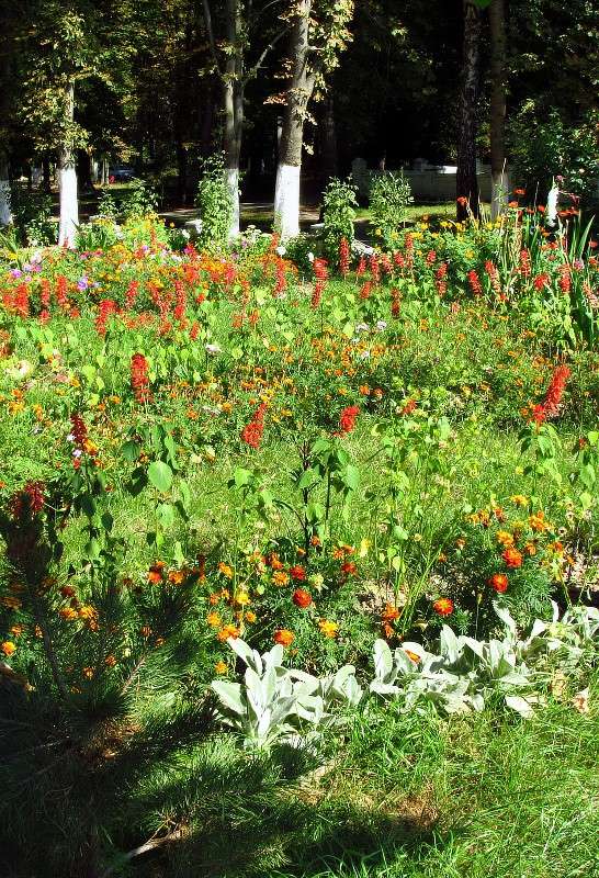 ���� � ������� ����� ���� ������ �� PhotoGeek.ru #������ ��� ������� #�����