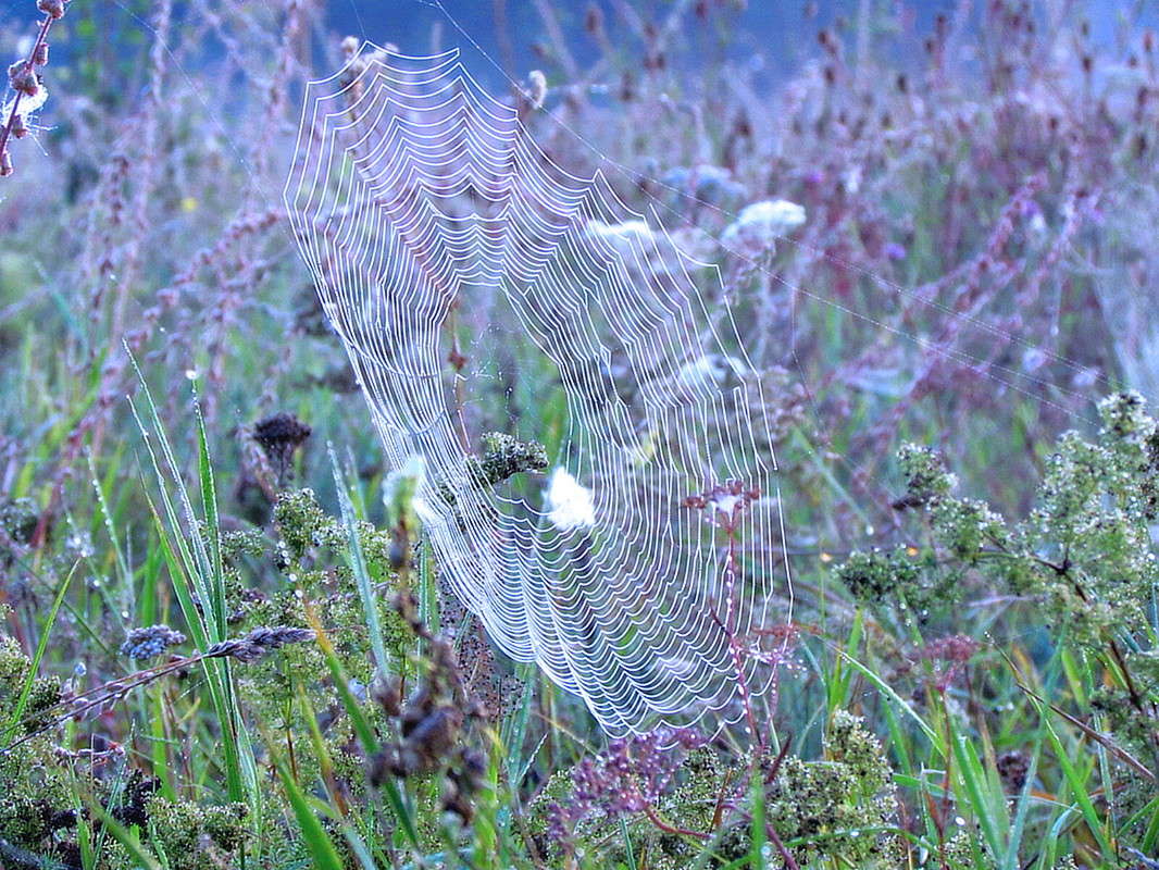 ������� ����� ���� ������ �� PhotoGeek.ru #������ ��� �������