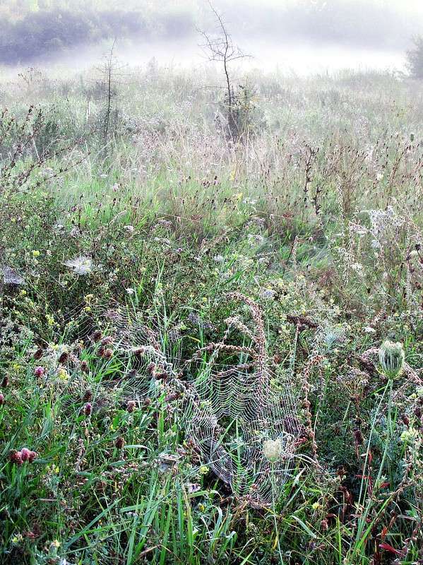 ������.����.����� ����� ���� ������ �� PhotoGeek.ru #������ ��� ������� #�������