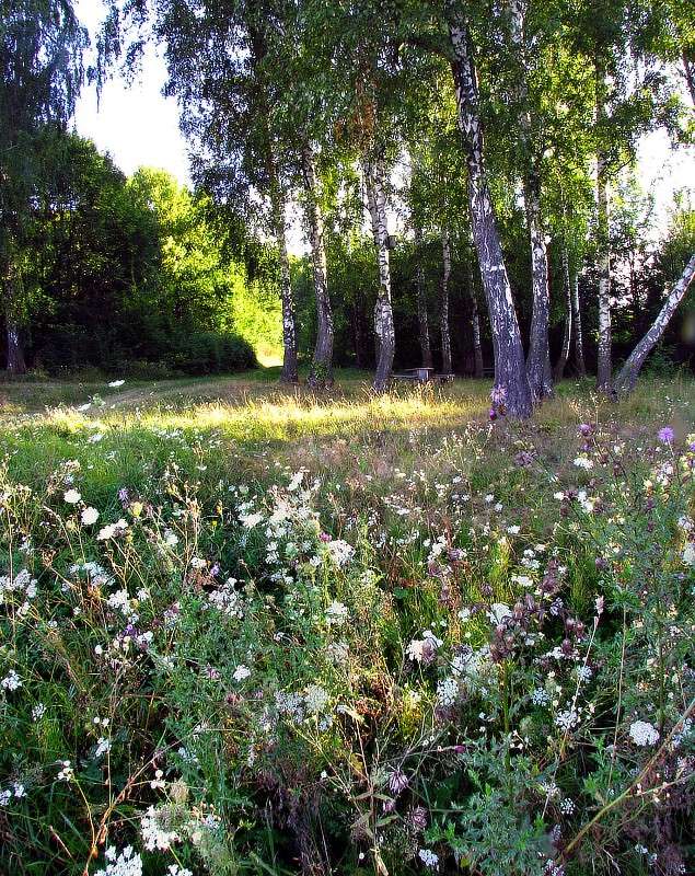 ������...����� ������... ����� ���� ������ �� PhotoGeek.ru #������ ��� �������