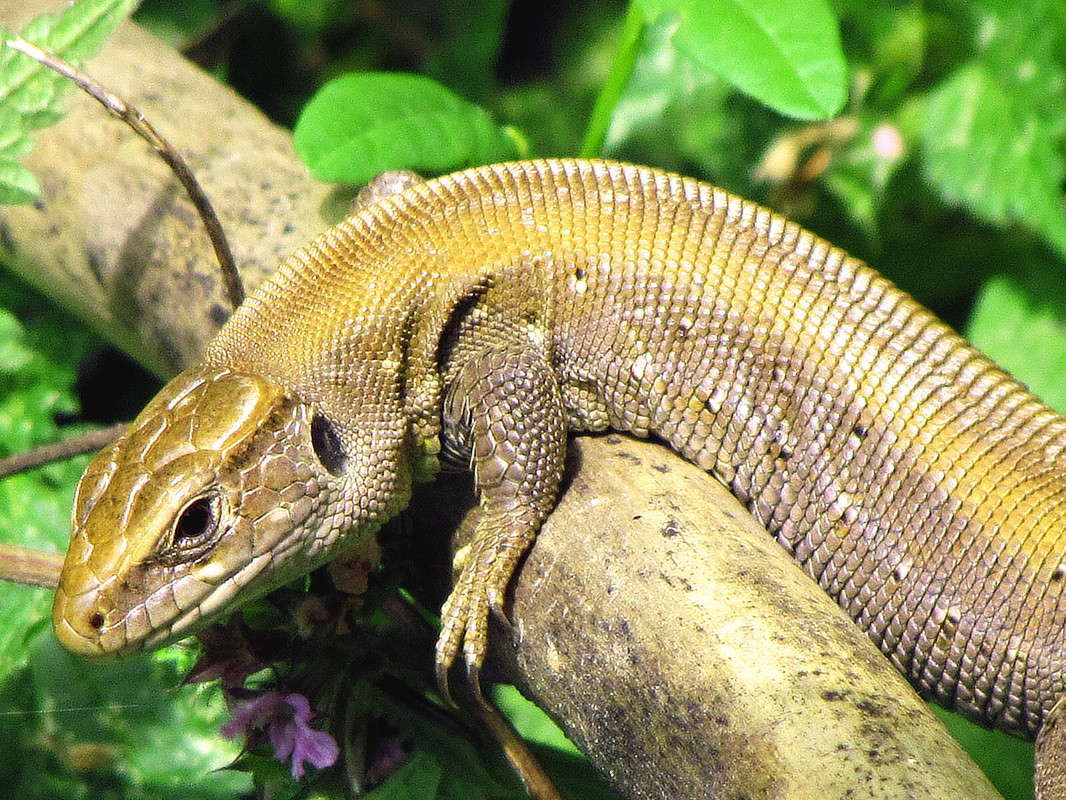 ������� ����� ���� ������ �� PhotoGeek.ru #������ ��� �������