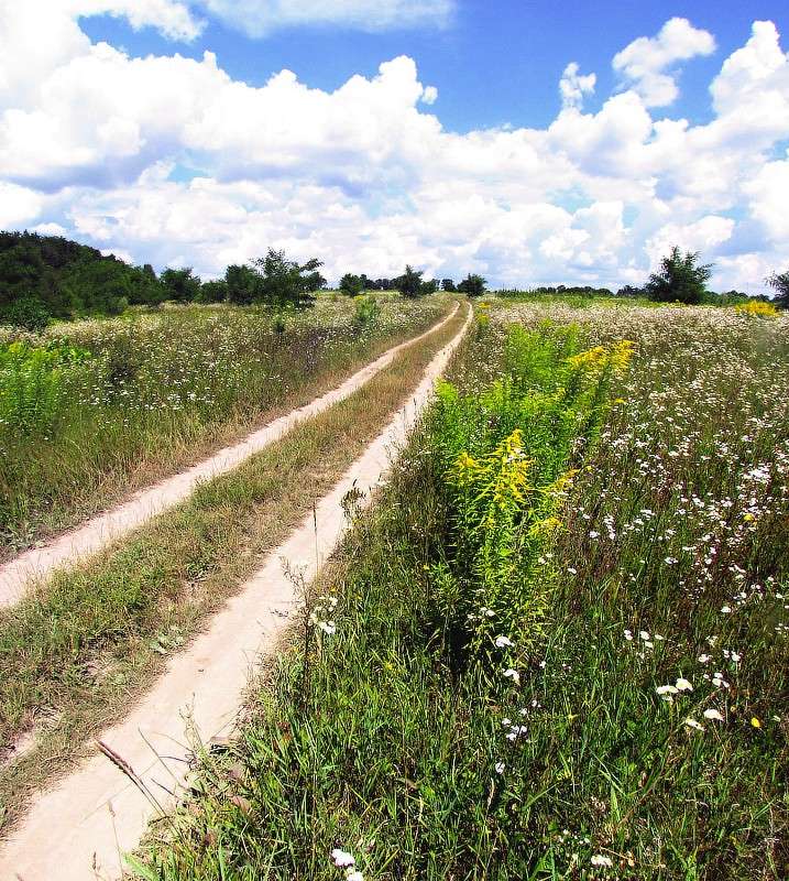 ������ ����� ���� ������ �� PhotoGeek.ru #������ ��� �������