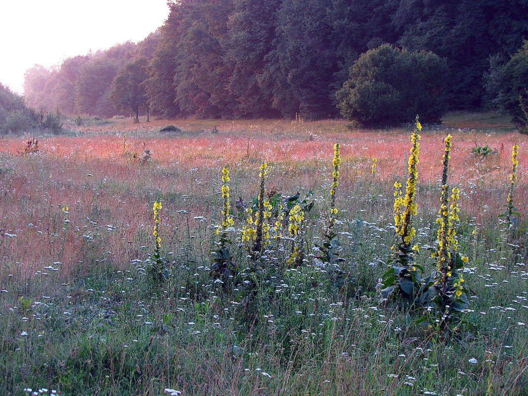 ������ ���� ������ ����� ���� ������ �� PhotoGeek.ru #������ ��� �������