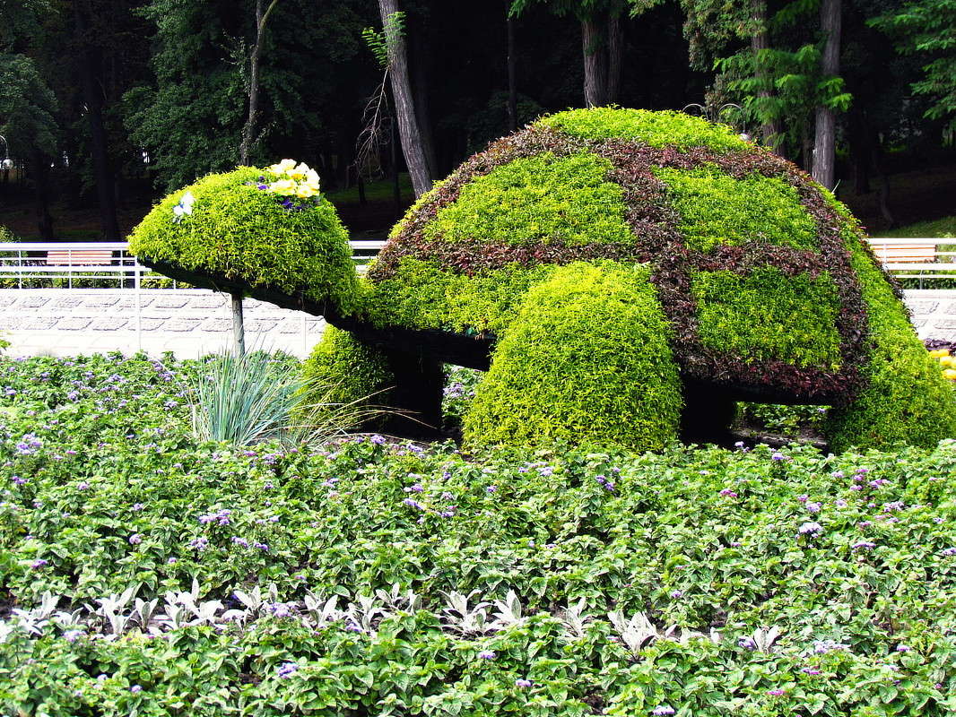 ����������� ������ ����� ���� ������ �� PhotoGeek.ru #�������� ���������� #��������