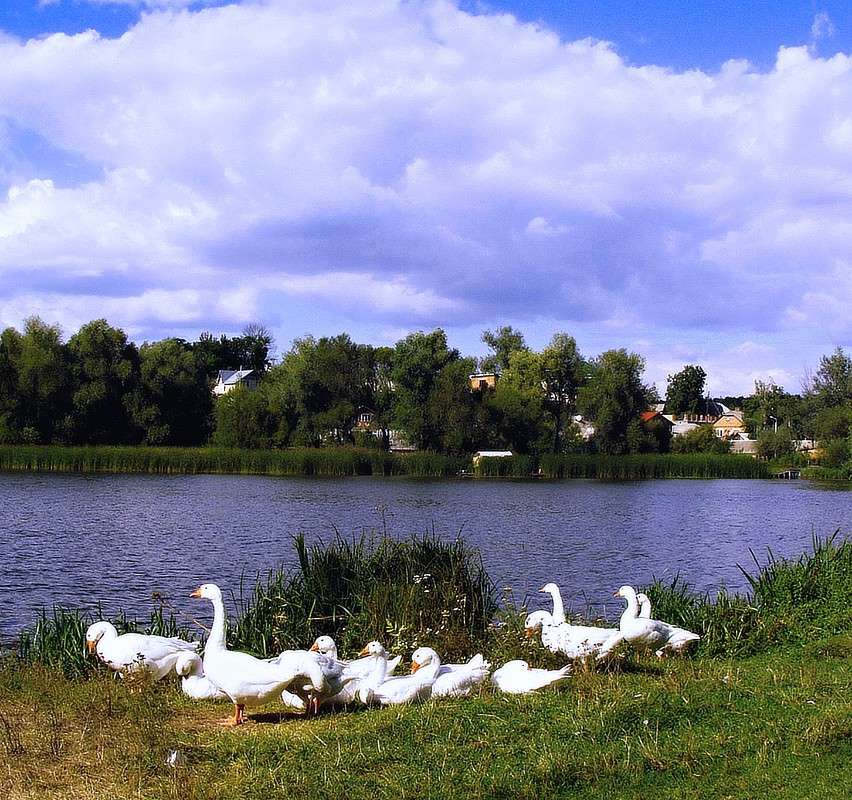 ���� ����� ���� ������ �� PhotoGeek.ru #������ ��� ������� #�������