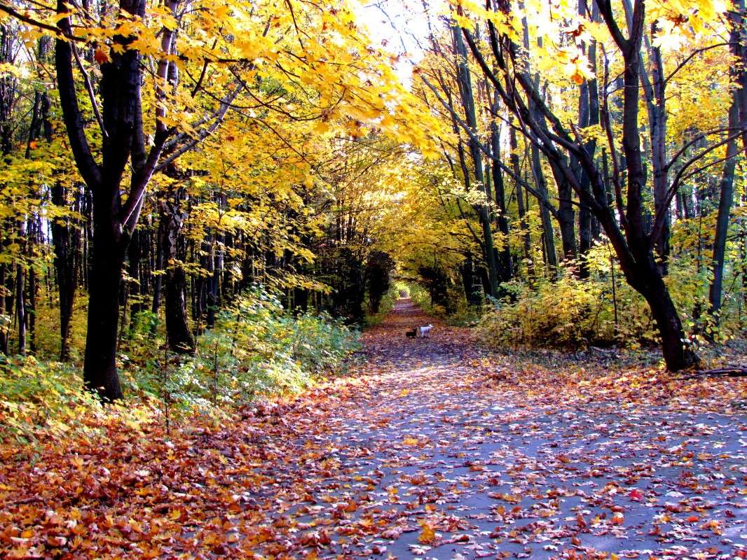 ������ ����� ����� ���� ������ �� PhotoGeek.ru #������ ��� �������