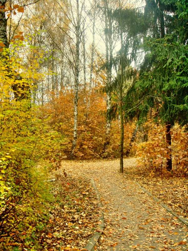 �����... ����� ���� ������ �� PhotoGeek.ru #������ ��� �������