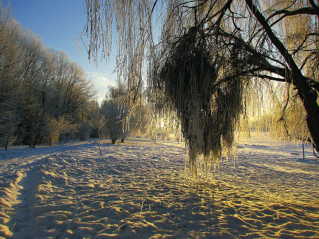 ������ ������.. ����� ���� ������ �� PhotoGeek.ru #������ ��� ������� #�������