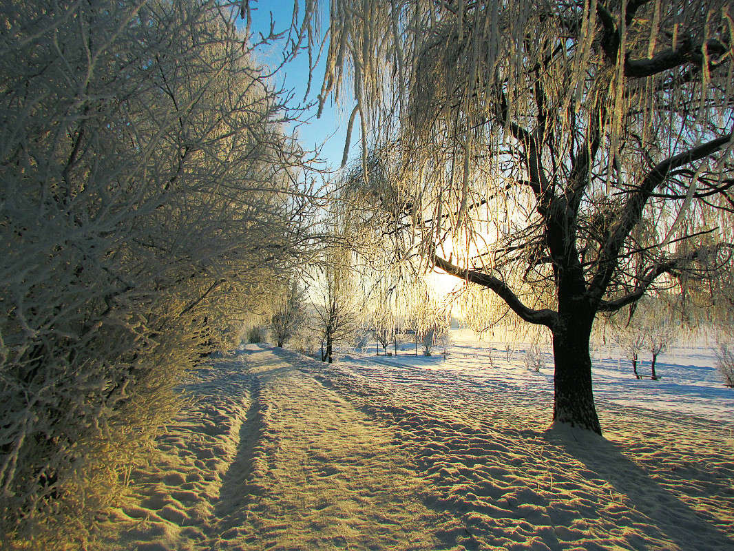 ���� ����� ���� ������ �� PhotoGeek.ru #������ ��� ������� #�������