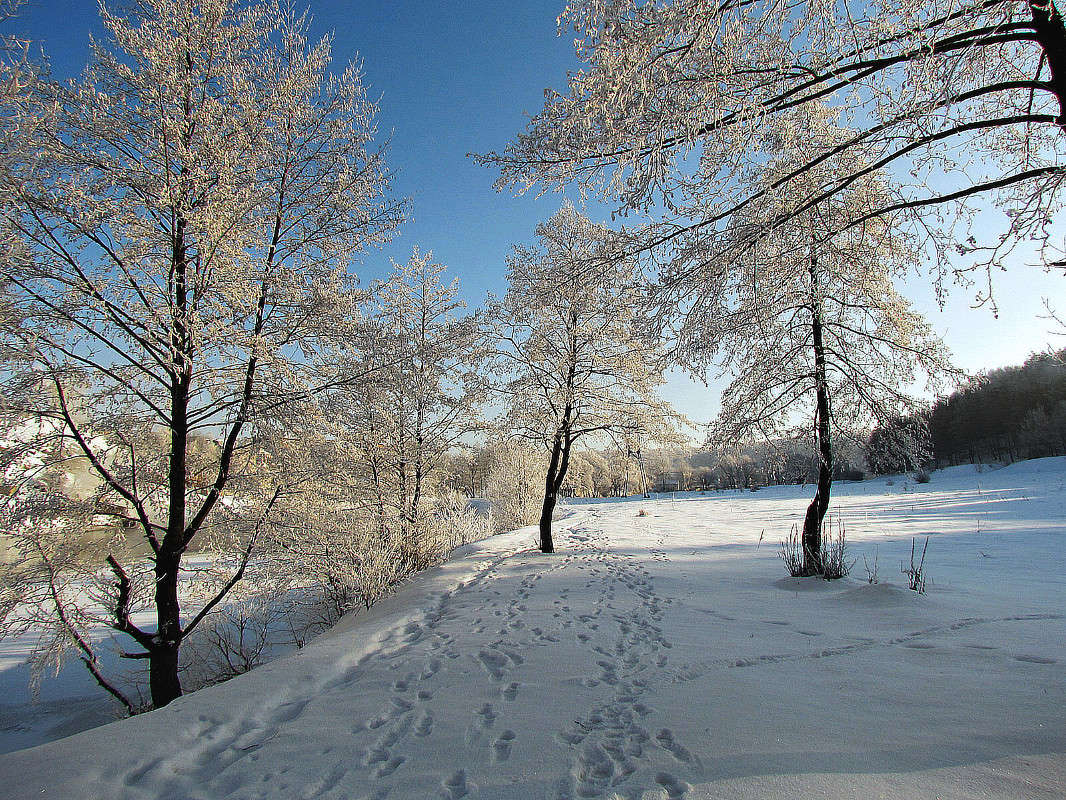 ������ ������ ����� ���� ������ �� PhotoGeek.ru #������ ��� ������� #������