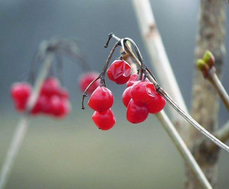 ������ ����� ���� ������ �� PhotoGeek.ru #����� #������ ��� �������