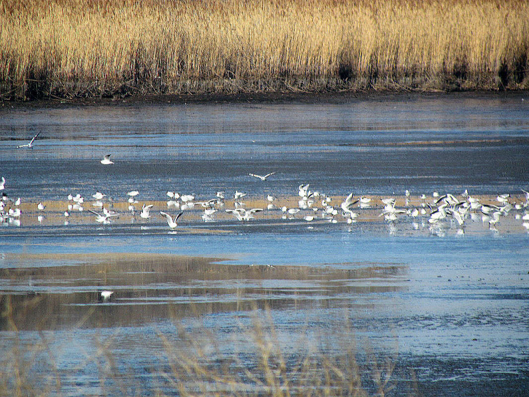 ����� ����� ���� ������ �� PhotoGeek.ru #������ ��� ������� #�������