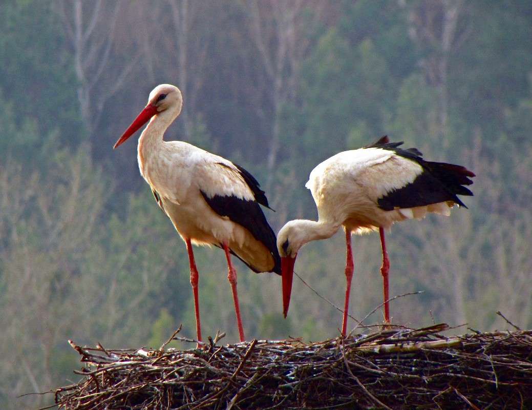 ����� ����� ���� ������ �� PhotoGeek.ru #������ ��� �������