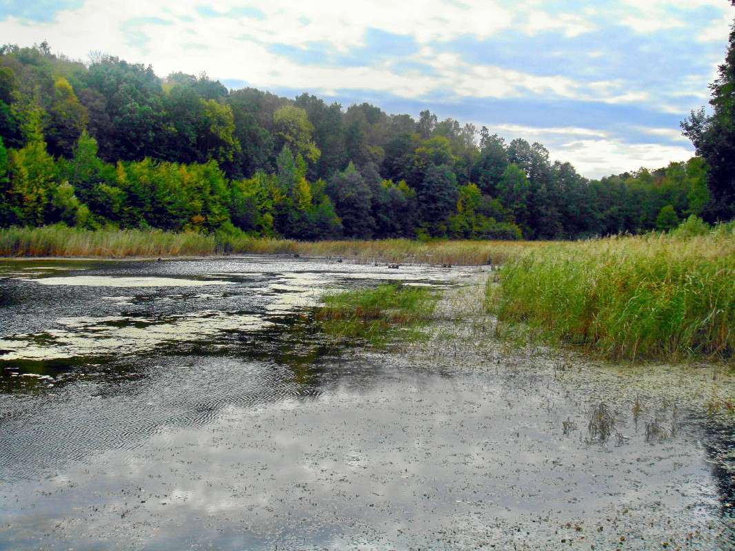 ������ ����� ���� ������ �� PhotoGeek.ru #������ ��� �������