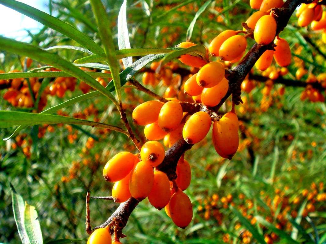 �������� ����� ���� ������ �� PhotoGeek.ru #�����