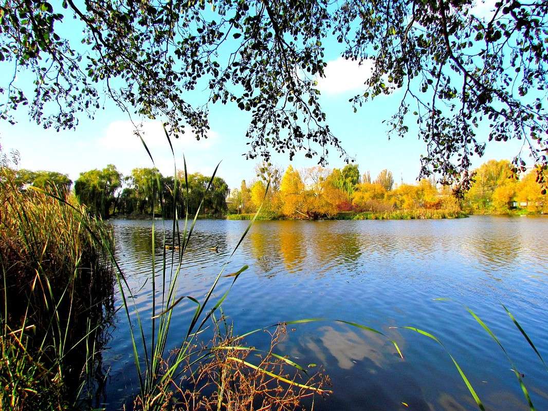 ������� ������ ����� ���� ������ �� PhotoGeek.ru #������ ��� �������