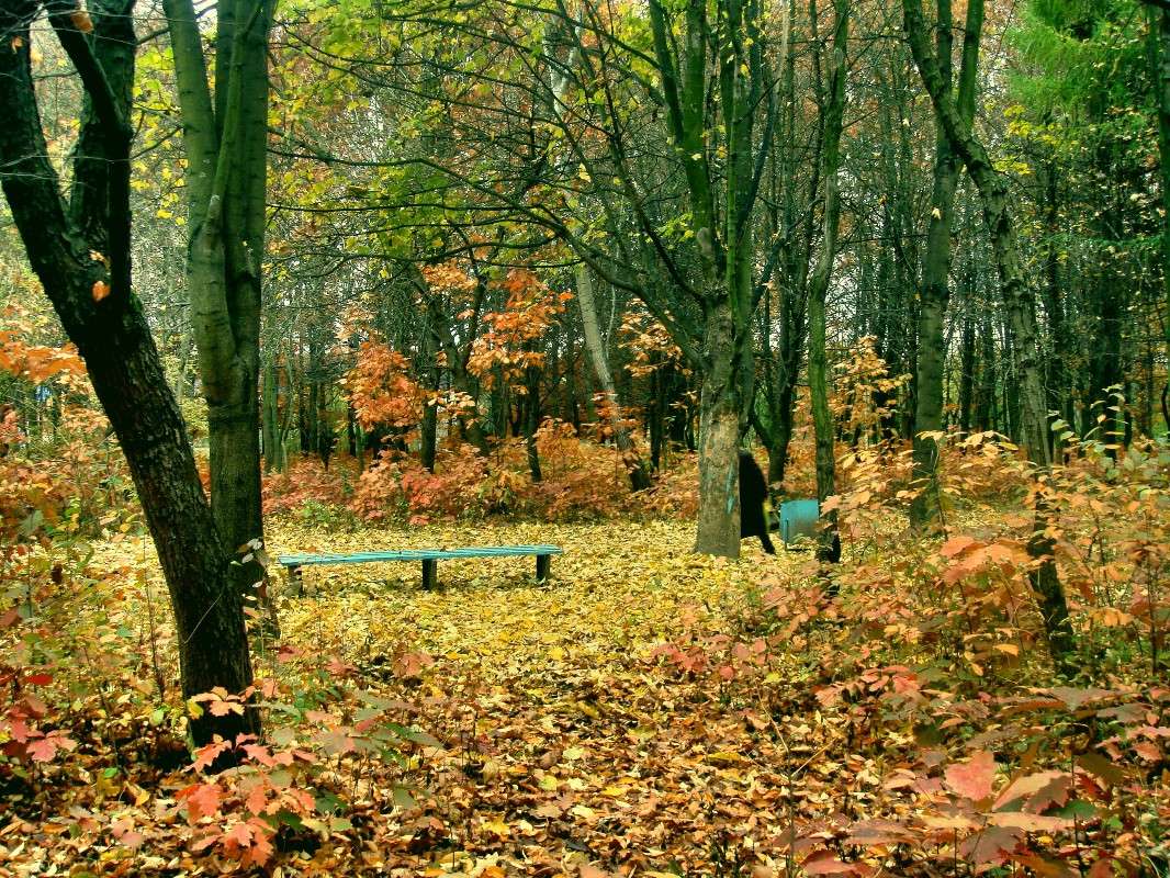 �����... ����� ���� ������ �� PhotoGeek.ru #������ ��� �������